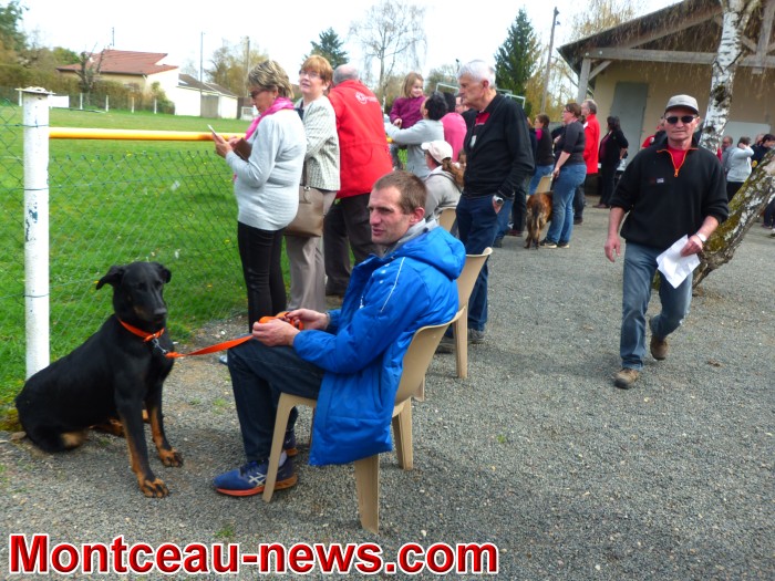 chien 0904182