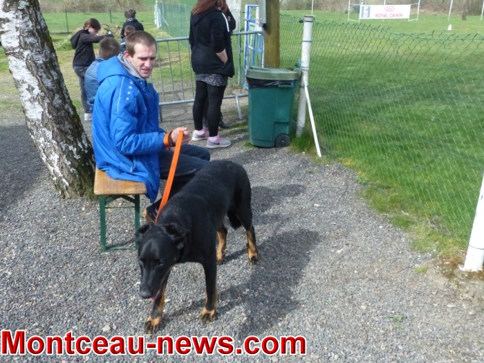 chien 0904185