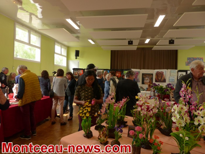 expo 30041833