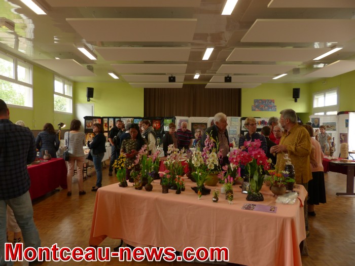 expo 30041834