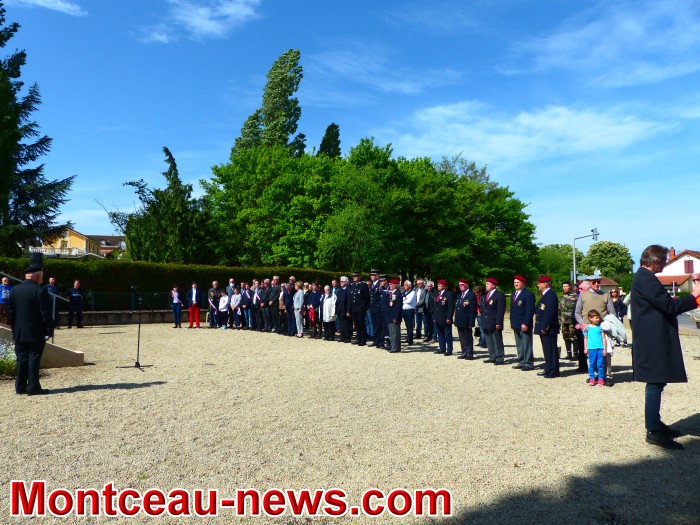 mont 30041811