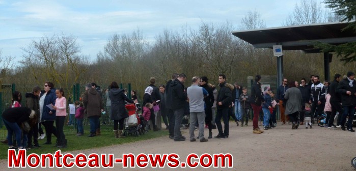 parc 03041833