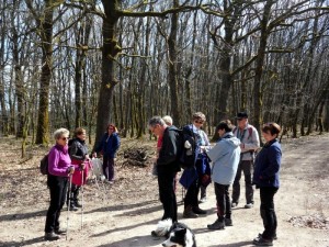 « Vouivre en chemins » (Randonnée)