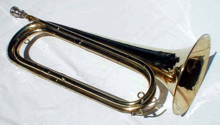 band 10051810