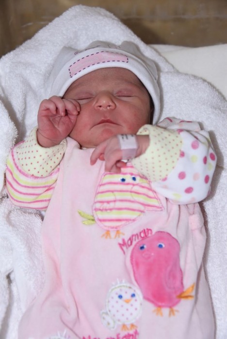 bebe alessia 0905186