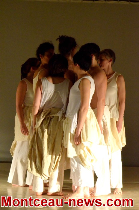 golmus 0805183