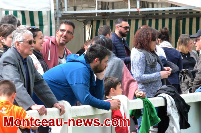 jlp 02051831
