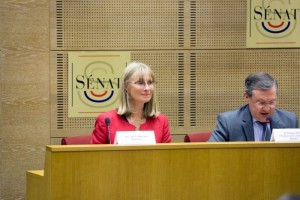 Projet de loi renforçant la lutte contre les violences sexuelles et sexistes (Politique)