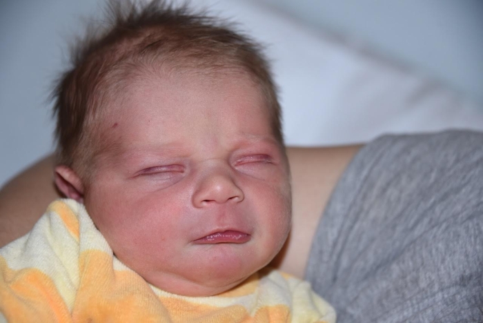 bebe helios 2506182