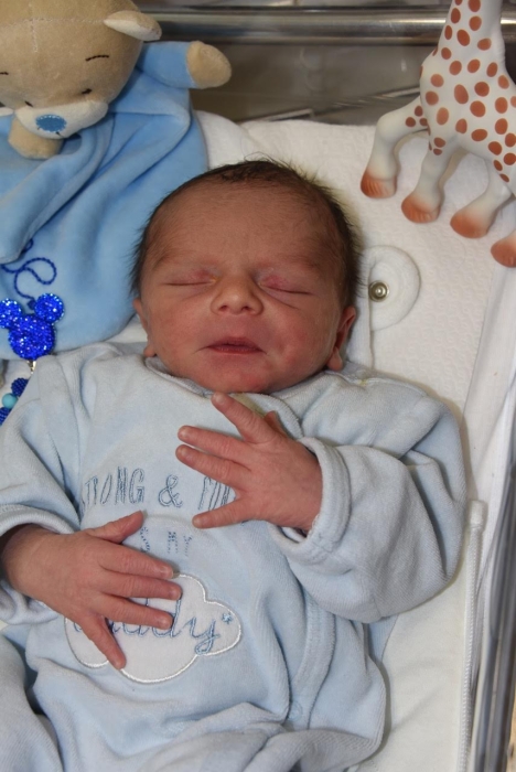 bebe malone 2406183