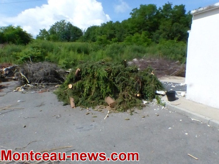 camp 0506182
