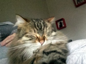 Disparue au Vernois (Montceau)