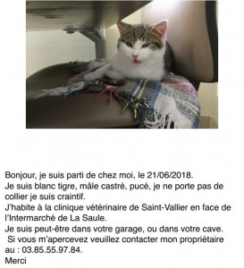 Disparu à Saint-Vallier