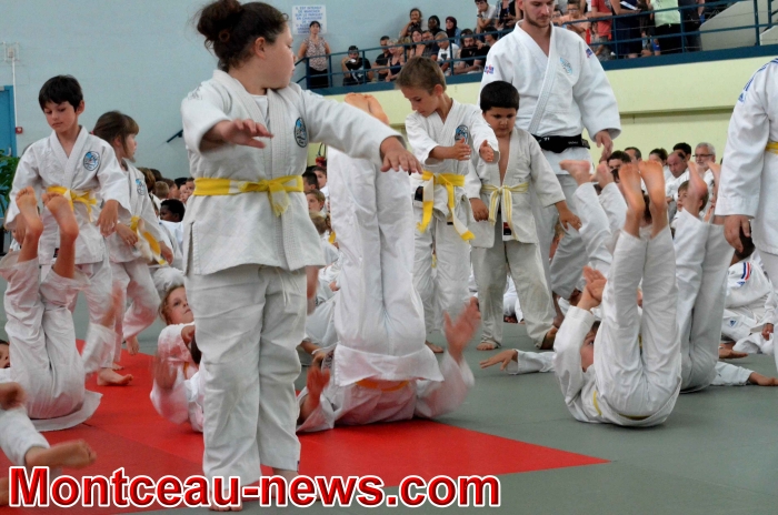 dojo 11061810