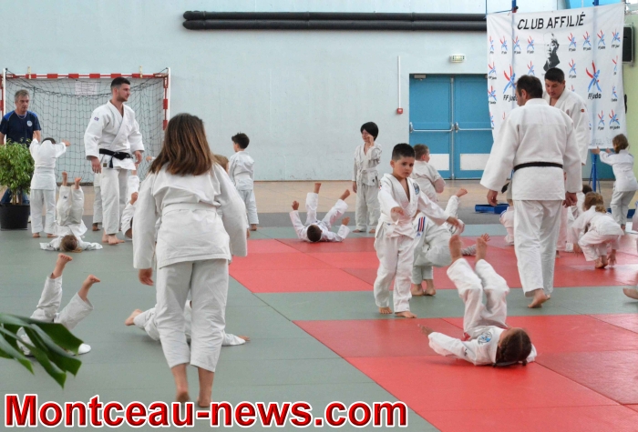 dojo 11061813