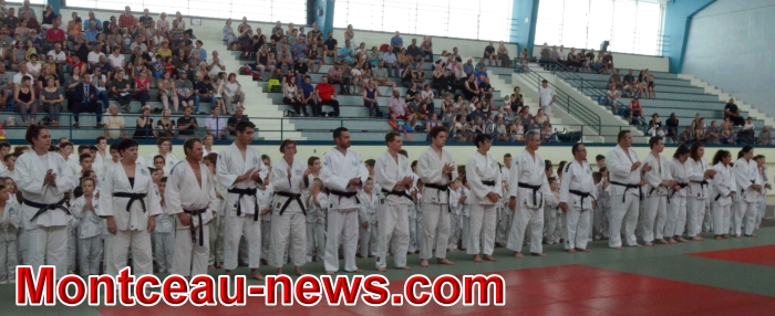 dojo 11061817