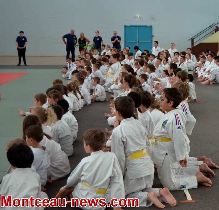 dojo 11061819