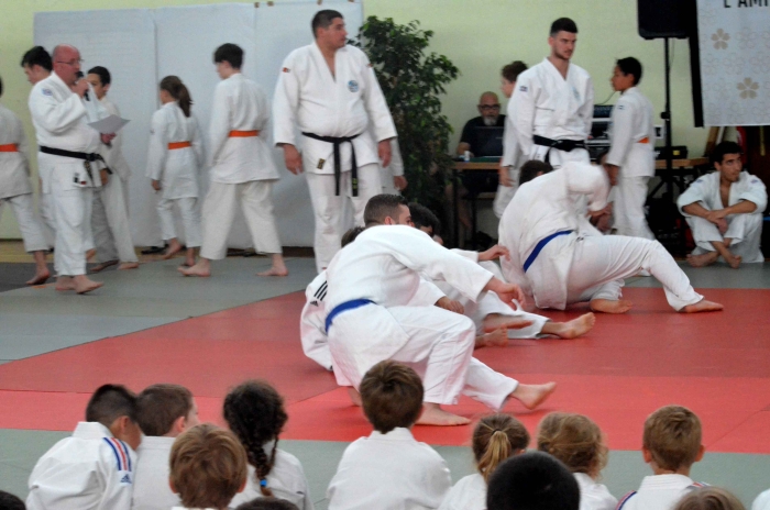 dojo 11061822