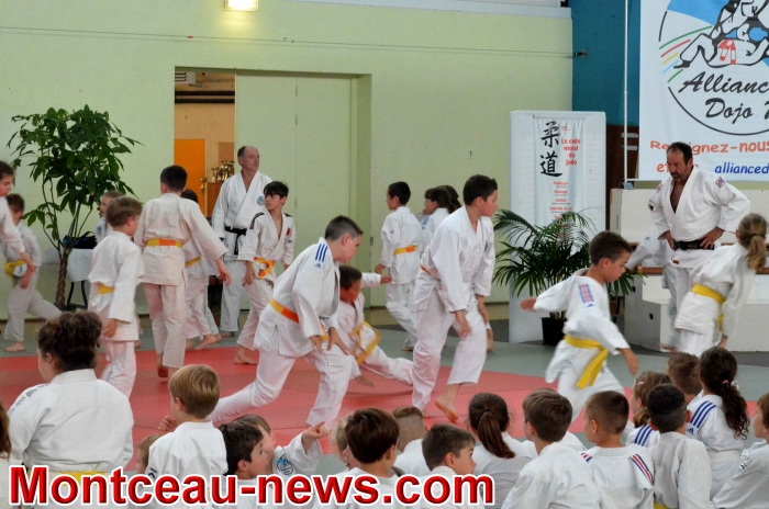 dojo 11061824
