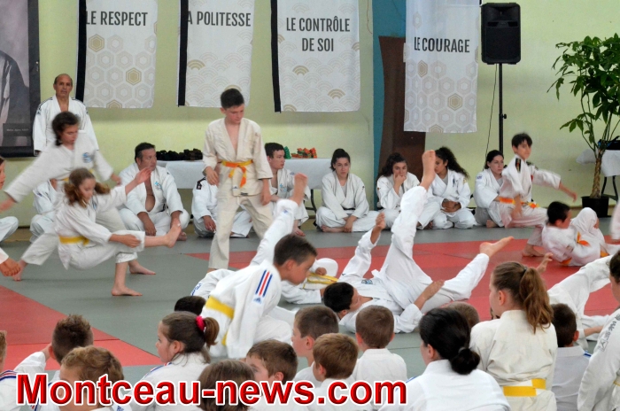 dojo 11061825