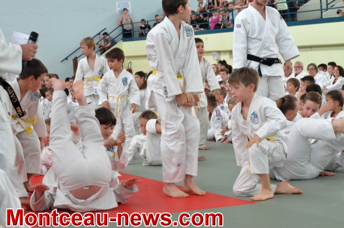 dojo 11061827