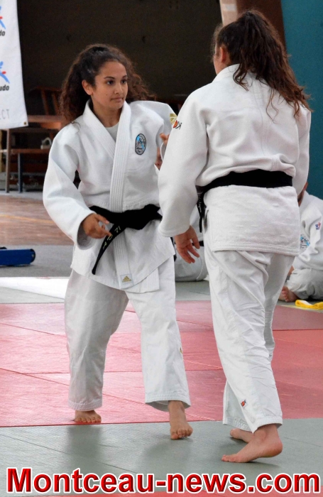 dojo 11061828
