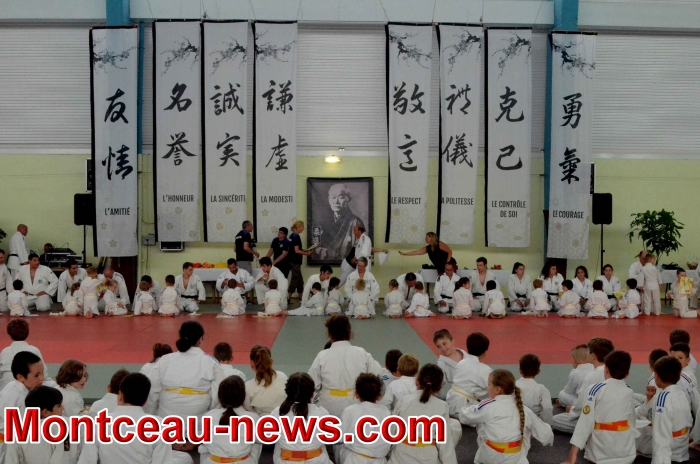 dojo 11061832