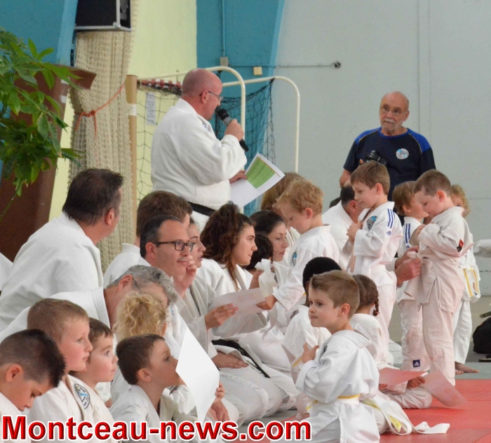 dojo 11061833