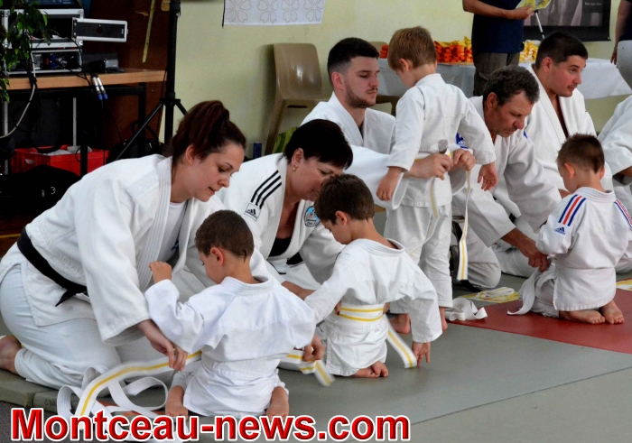 dojo 11061835