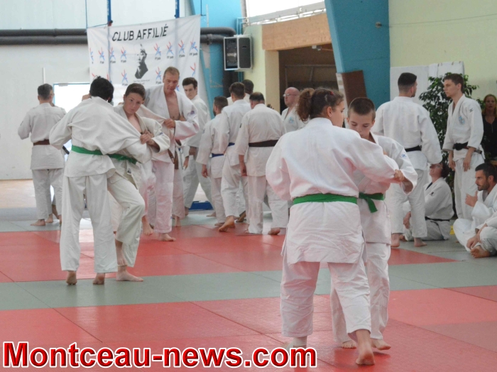 dojo 11061837
