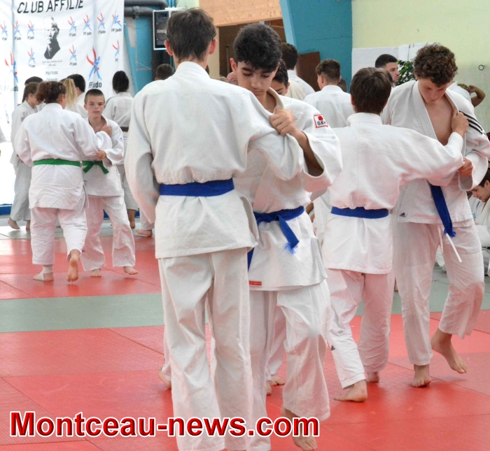 dojo 11061838