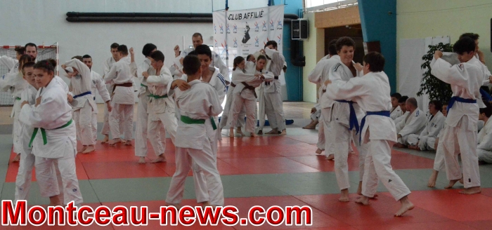 dojo 11061840