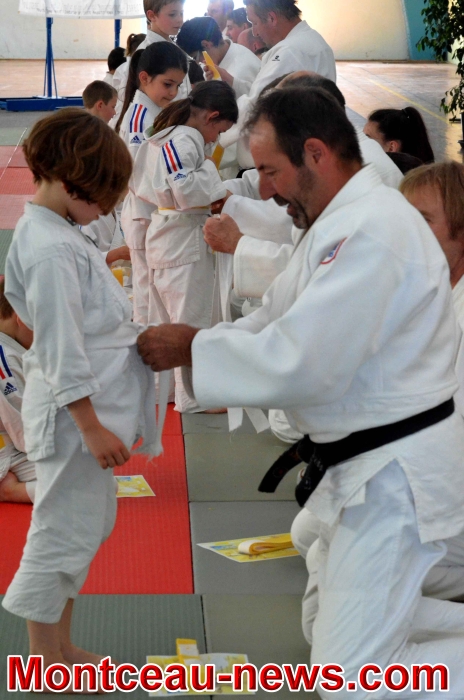 dojo 11061842