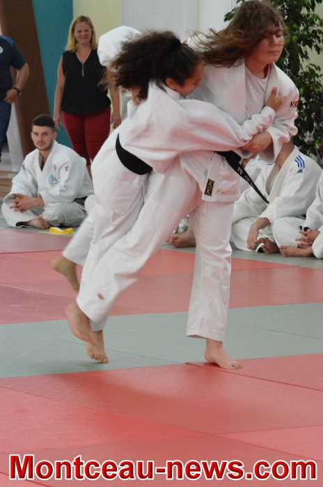 dojo 11061843