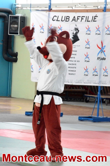 dojo 1106186