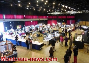Association Minéralogique du Bassin Minier (Montceau)