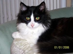 Perdu au Bois Roulot (Motnceau)