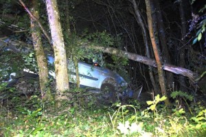Faits divers (Torcy)