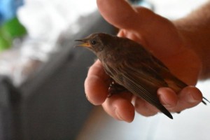 Nos lecteurs ont toujours le bon reflex(e)