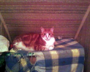 Perdu aux Gautherets