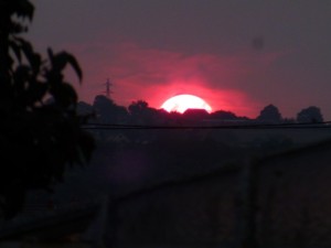 Nos lecteurs ont toujours le bon reflex(e)