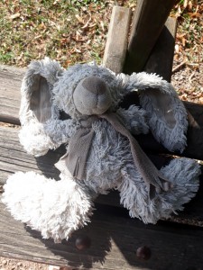 « Doudou » trouvé au Parc Maugrand (Montceau)