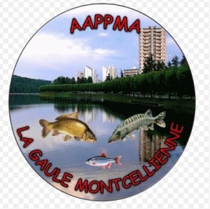 Gaule Montcellienne ( Montceau)