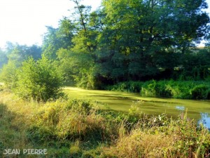 Nos lecteurs ont du talent