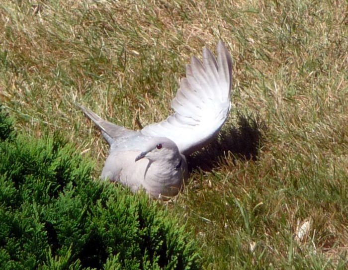 lec 0207181