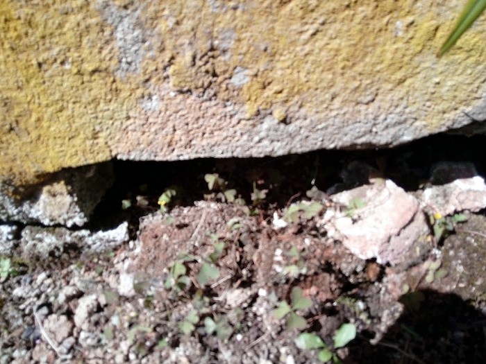 lec 0407181