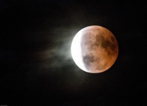 Nos lectrices ont toujours le bon reflex(e)