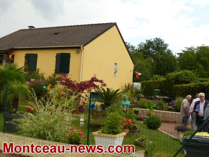 nel 07071817