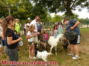 Week-ends aux Grands Parcs (Montceau)