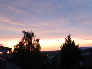 Nos lecteurs ont toujours le bon reflex(e)